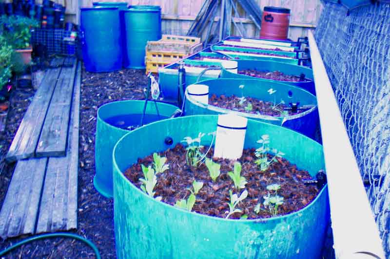 APpicks 027 copy-r.jpg