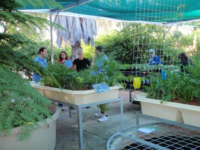 PA290094 (Medium).JPG