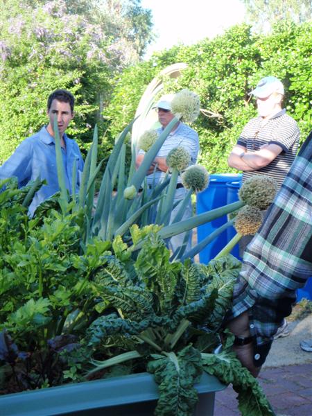 PA290097 (Medium).JPG