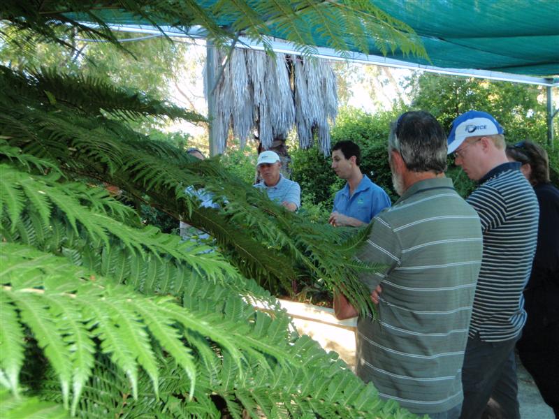 PA290100 (Medium).JPG