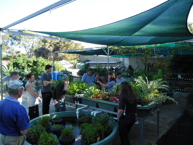 SAM_0964 (Medium).JPG