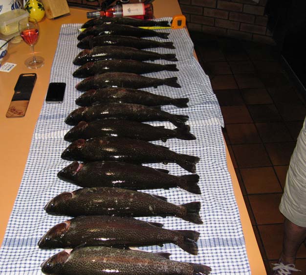 14trout and wine bottle.jpg