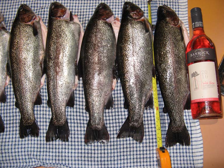 trout with wine bottle.jpg