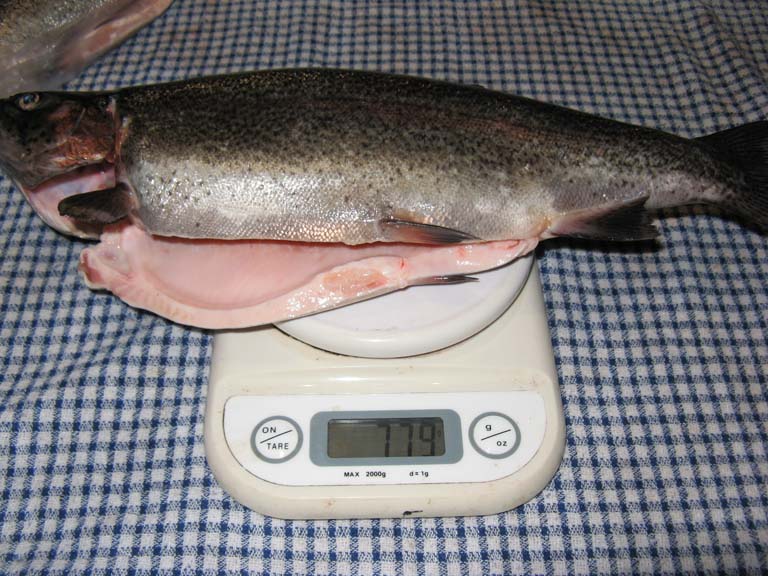 trout gutted 779g.jpg
