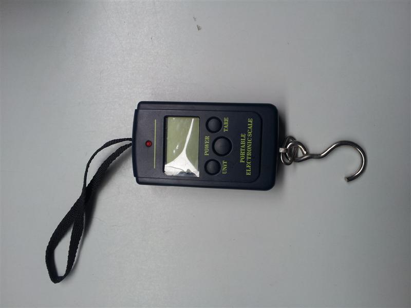 2011-11-02 11.54.49 (Medium).jpg