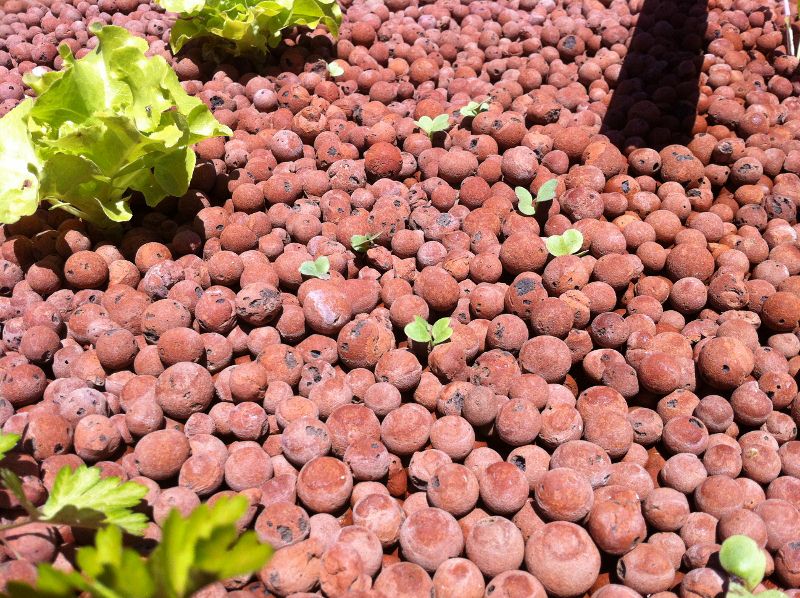 0234small (800x598).jpg