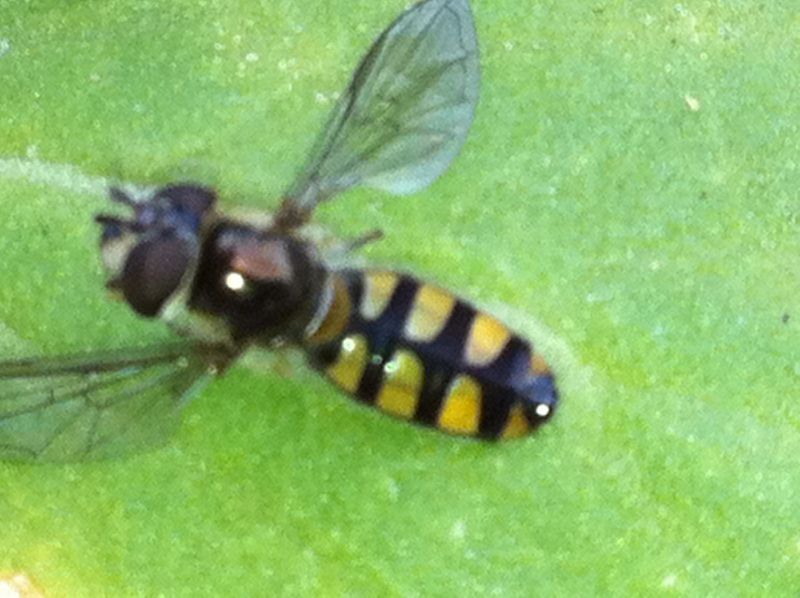 0241small (800x598).jpg