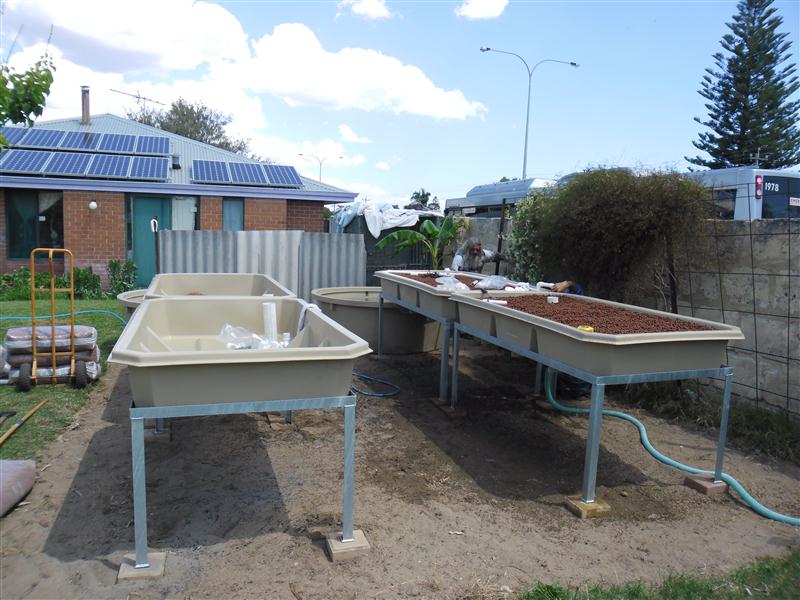 SAM_0726 (Custom).JPG