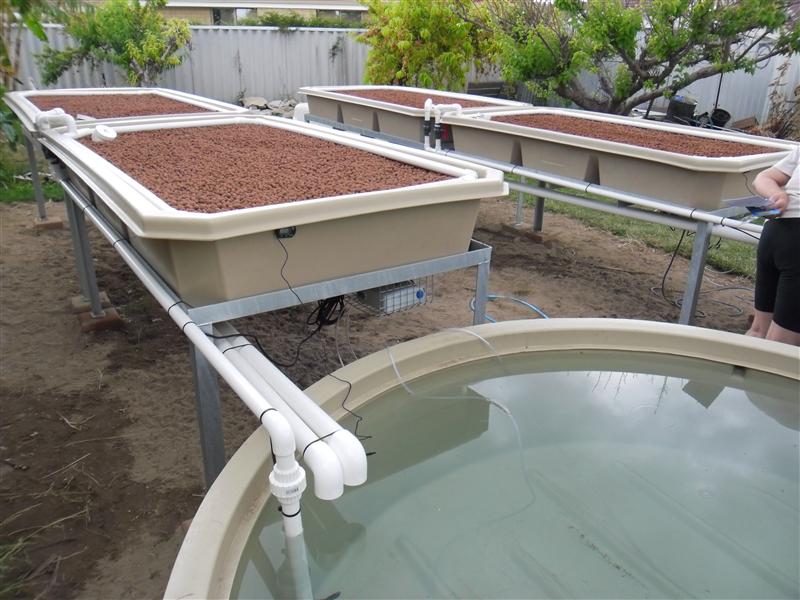 SAM_0731 (Custom).JPG