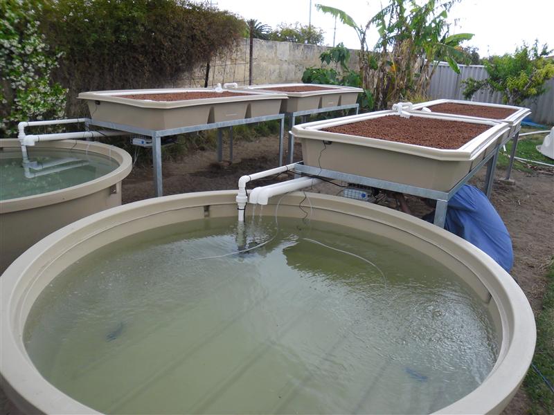 SAM_0732 (Custom).JPG