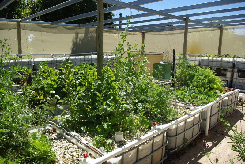 _IGP2950 (800x536).jpg