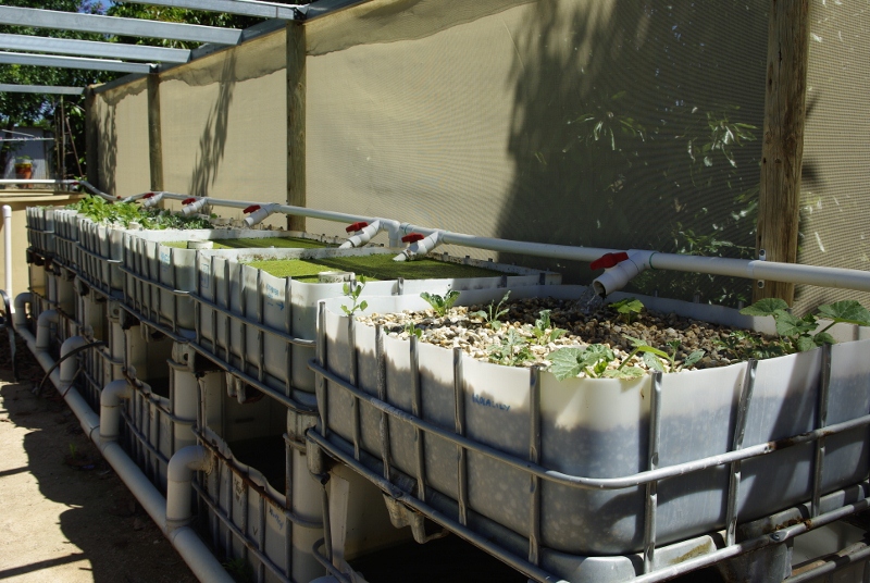 _IGP2956 (800x536).jpg