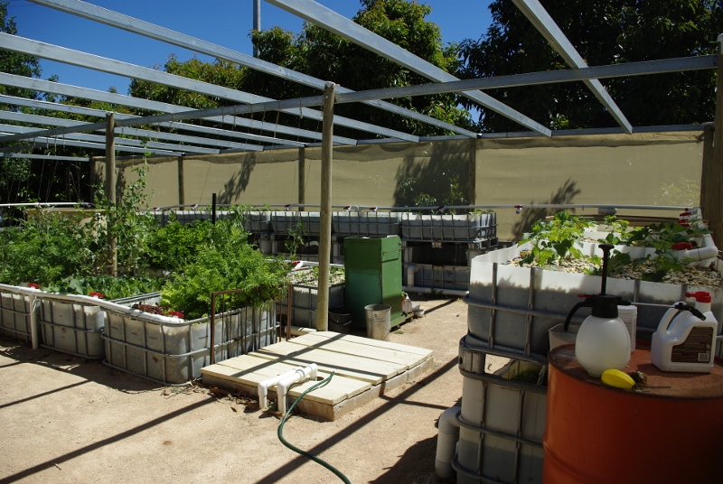 _IGP2954 (800x536).jpg