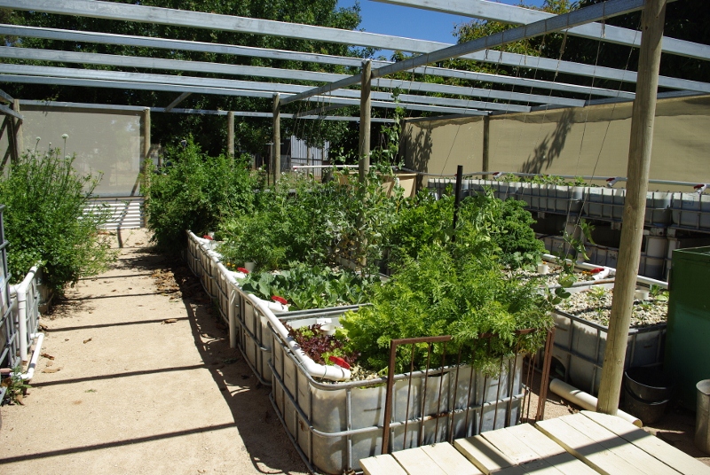 _IGP2955 (800x536).jpg