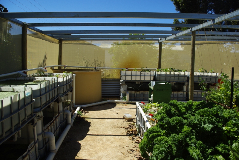 _IGP2968 (800x536).jpg