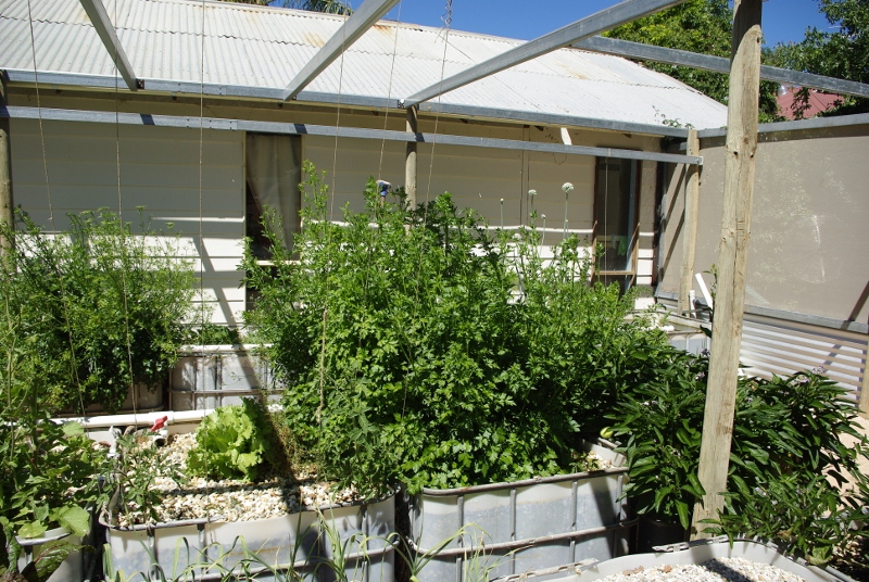 _IGP2970 (800x536).jpg