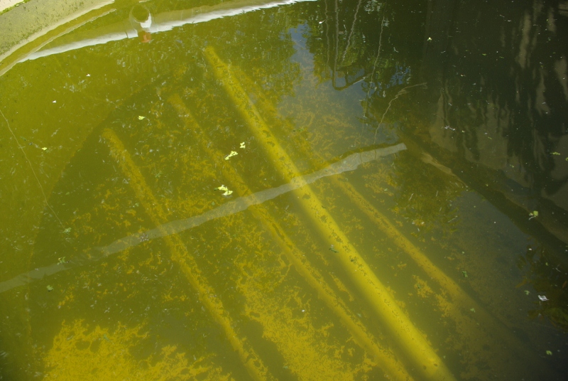 _IGP2974 (800x536).jpg