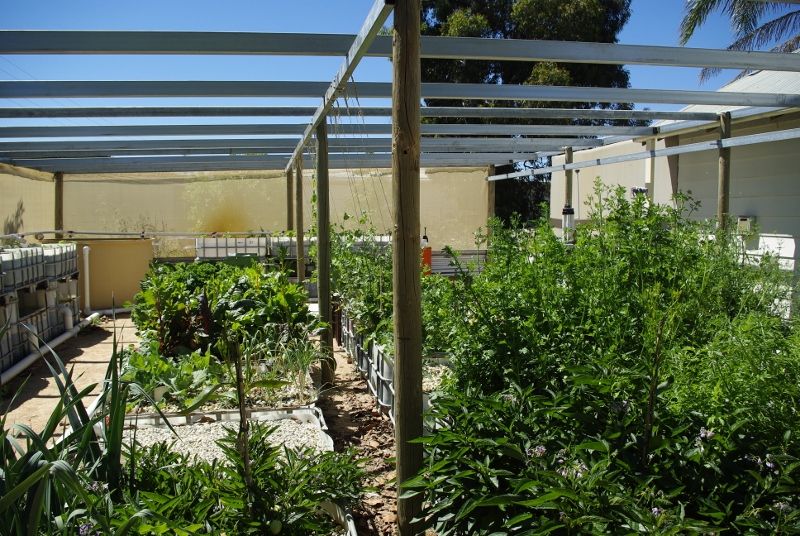 _IGP2978 (800x536).jpg