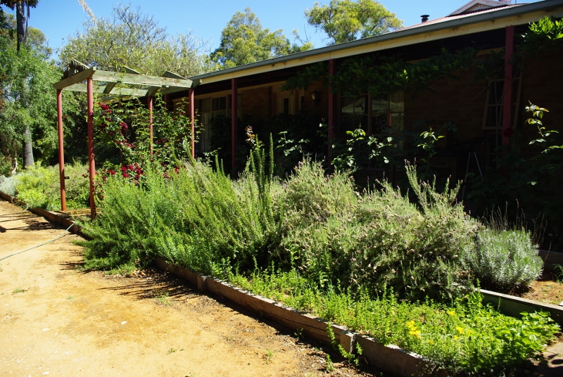 _IGP2990 (800x536).jpg