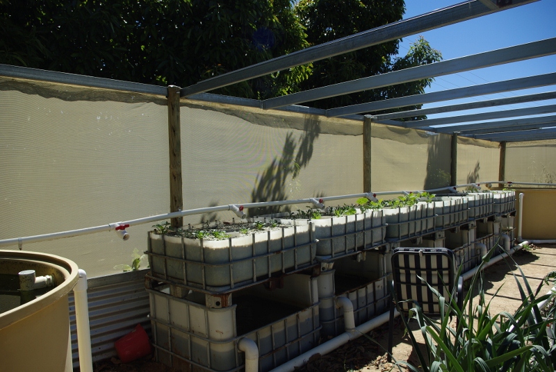 _IGP2977 (800x536).jpg