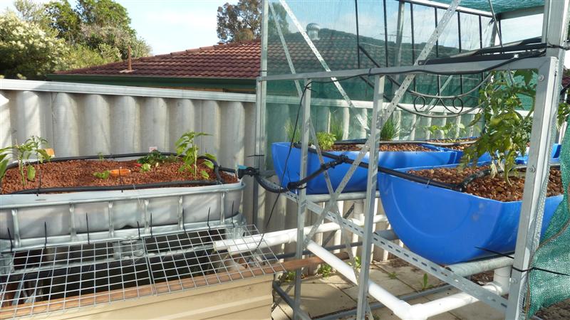 P1010596 (Medium).JPG