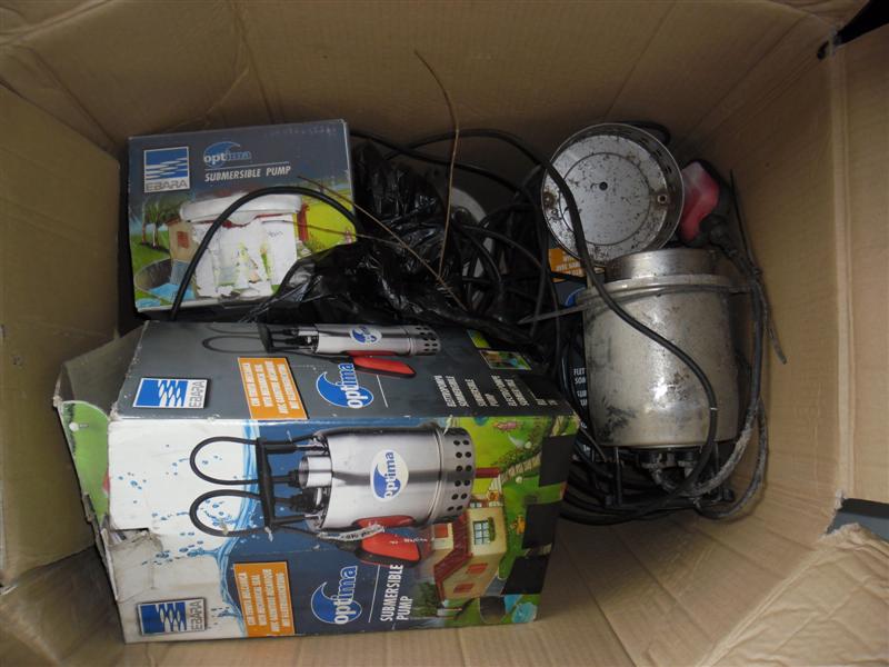 SAM_0738 (Medium).JPG