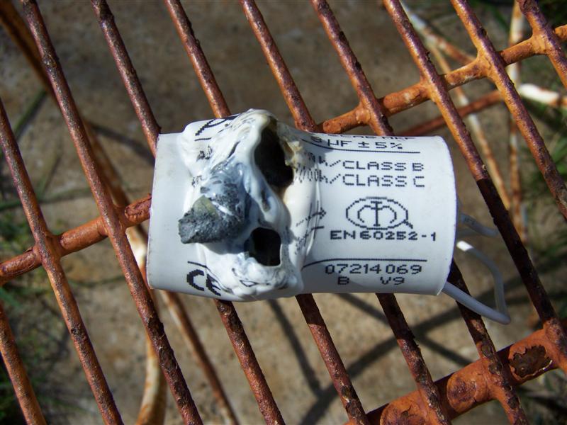 100_3441 (Medium).JPG