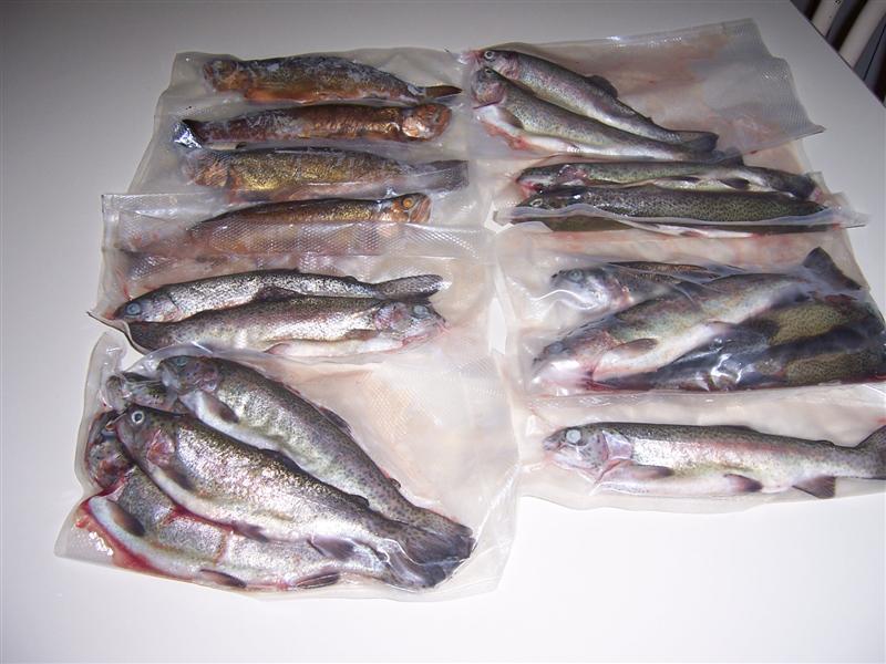 Picture 007 (Medium).jpg