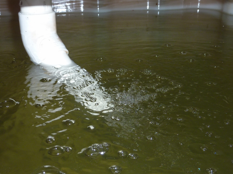 P1020723 (800x599).jpg