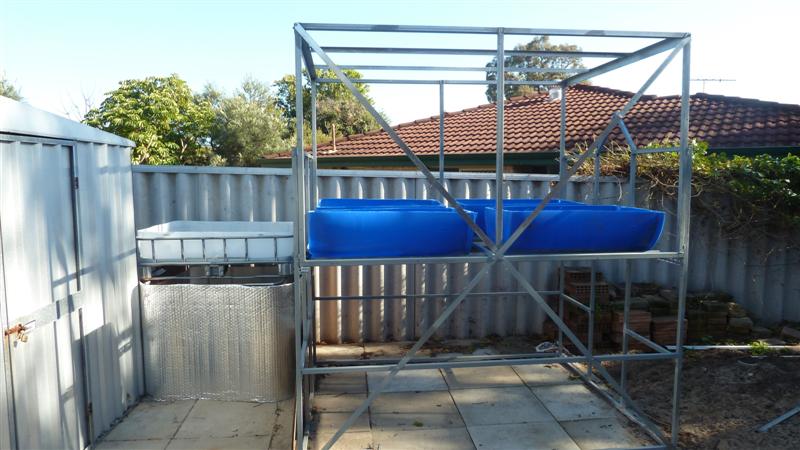 043 (2) (Medium).JPG