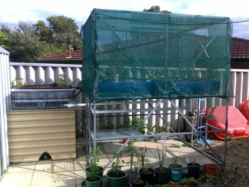 phone 028 (Medium).jpg