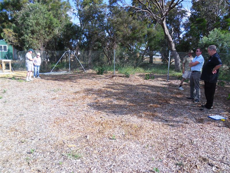 SAM_0721 (Custom).JPG