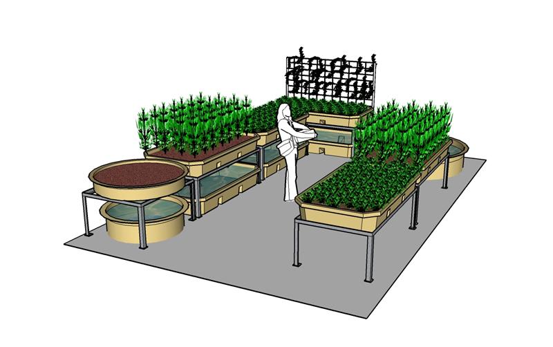 general1 (Medium).jpg