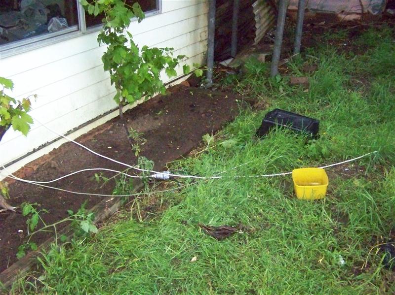 100_6671 (Custom).JPG