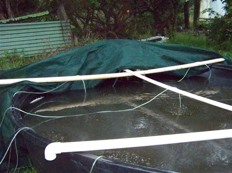 100_6672 (Custom).JPG