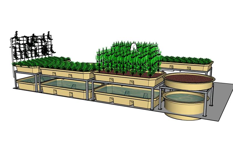 general2 (Medium).jpg