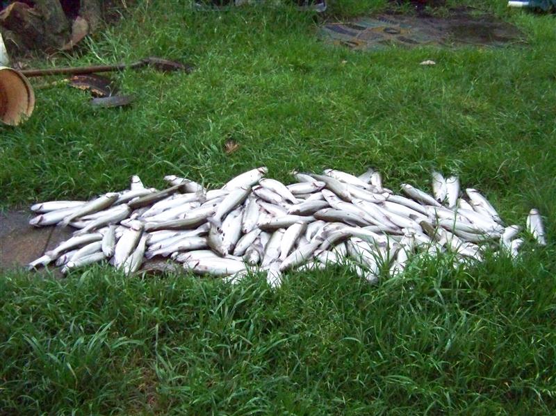 100_6674 (Custom).JPG