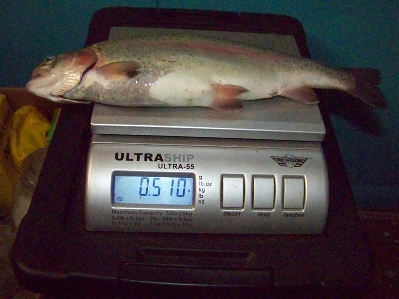 100_6678 (Custom).JPG