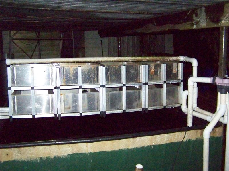 100_6679 (Custom).JPG