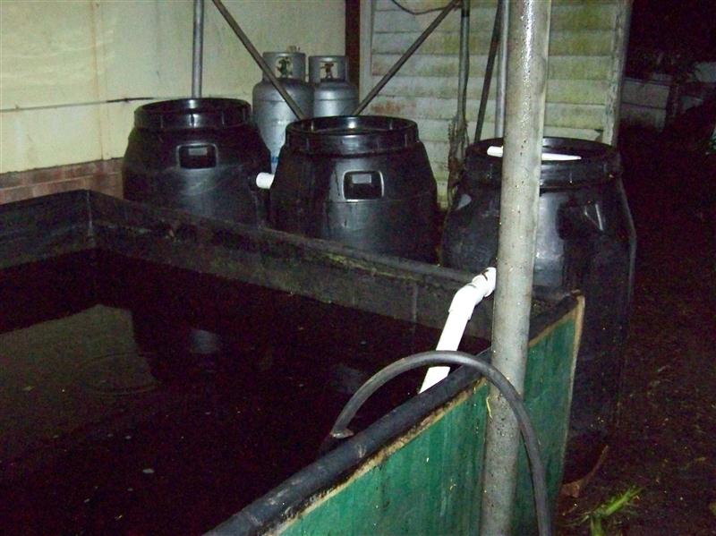 100_6680 (Custom).JPG