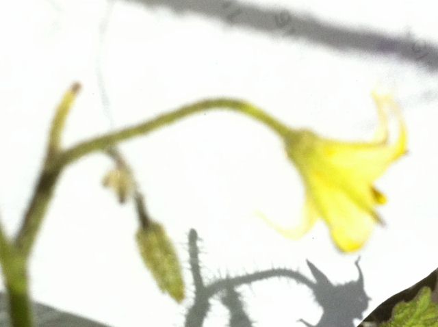 0249small (640x478).jpg