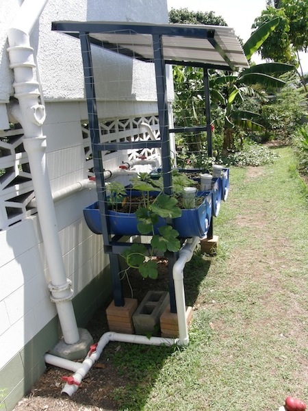 PB110695-1 (dragged).jpeg