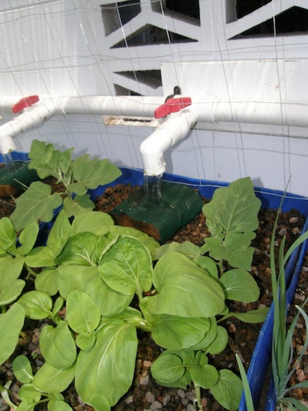 PB110696-1 (dragged).jpeg