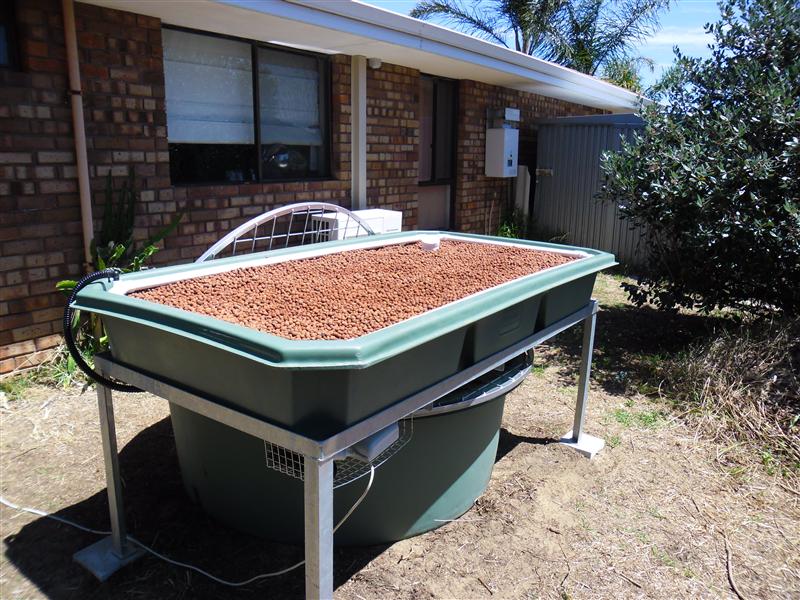 SAM_0743 (Custom).JPG