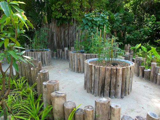 aqua_IMG_7315 (1).jpg