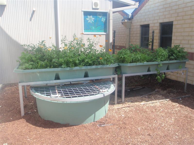 PB120255 (Medium).JPG