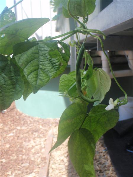 PB120267 (Medium).JPG