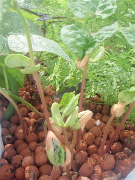 PB120277 (Medium).JPG