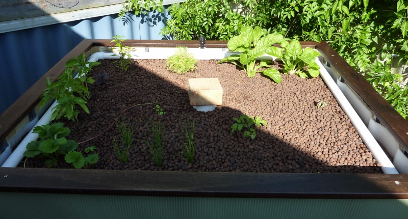 3 weeks (800x430).jpg