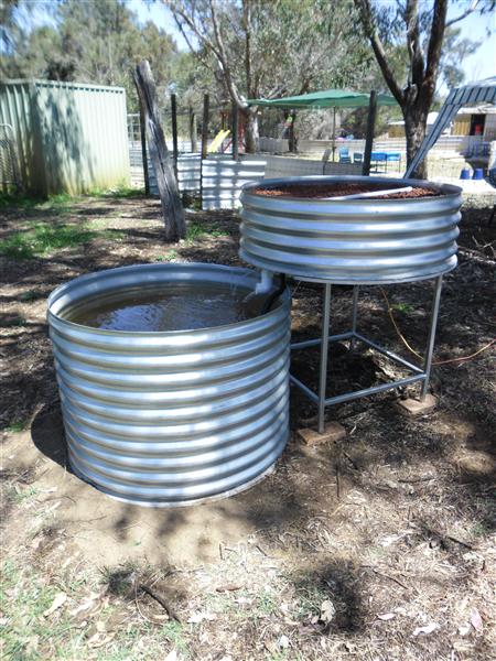 SAM_0749 (Custom).JPG